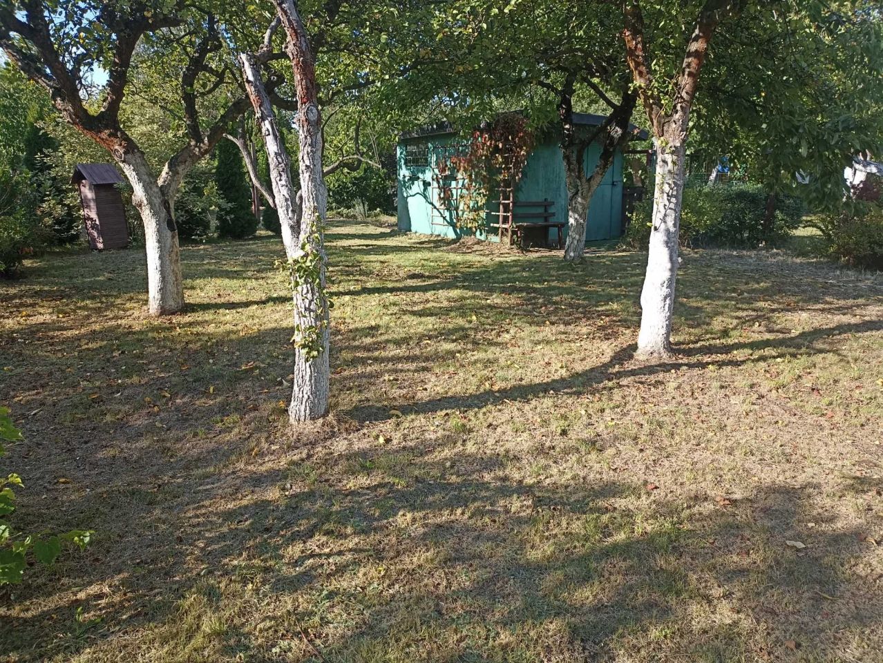 Działka rod Sulechów. Zdjęcie 2