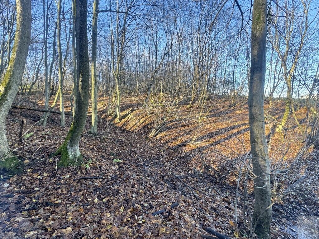 Działka leśna Przemyśl Kruhel Wielki, ul. Łowiecka. Zdjęcie 3