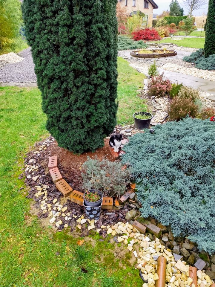 dom wolnostojący, 7 pokoi Bielsko-Biała Hałcnów, ul. Pisarska. Zdjęcie 17