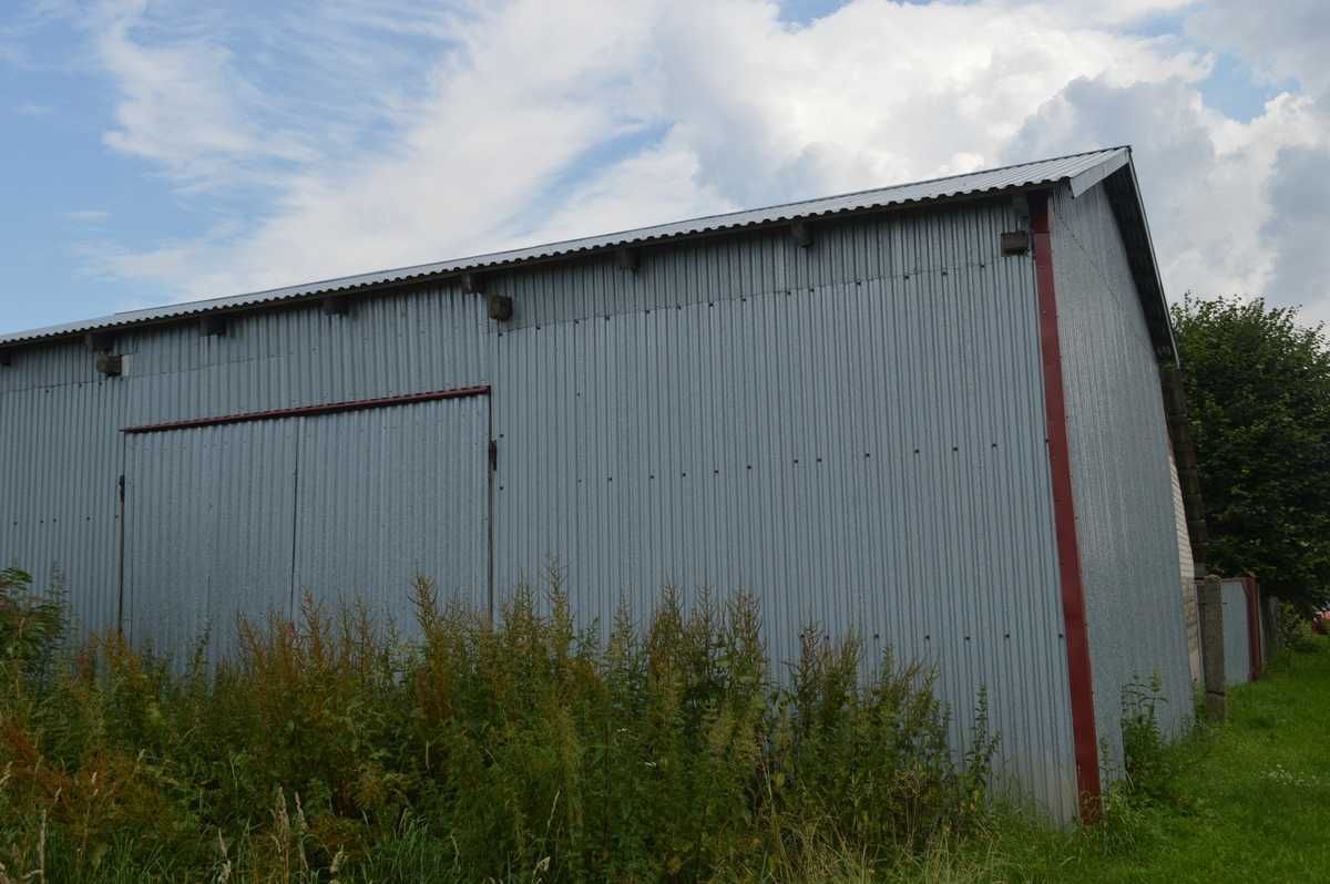 siedlisko Bełżyce. Zdjęcie 8