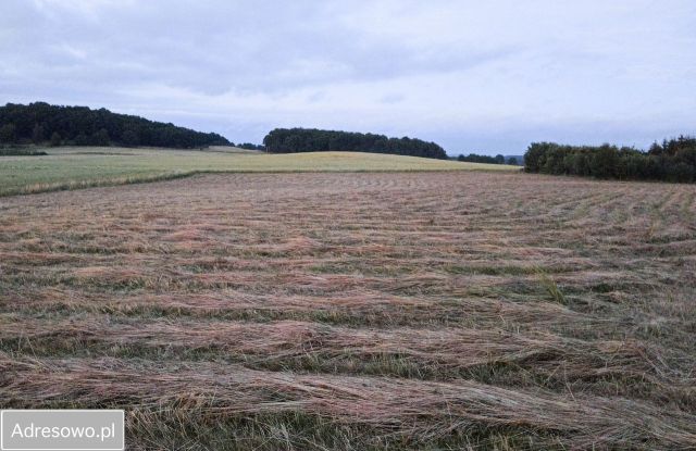 Działka budowlana Myślinów. Zdjęcie 1