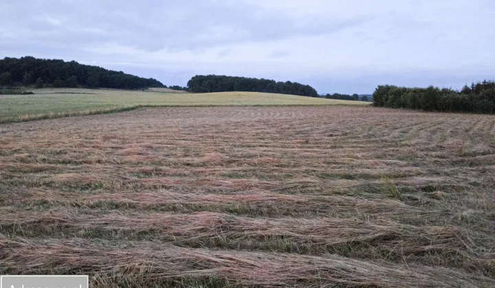 Działka budowlana Myślinów
