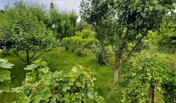 Działka rod Nowa Sól, ul. Ceglana