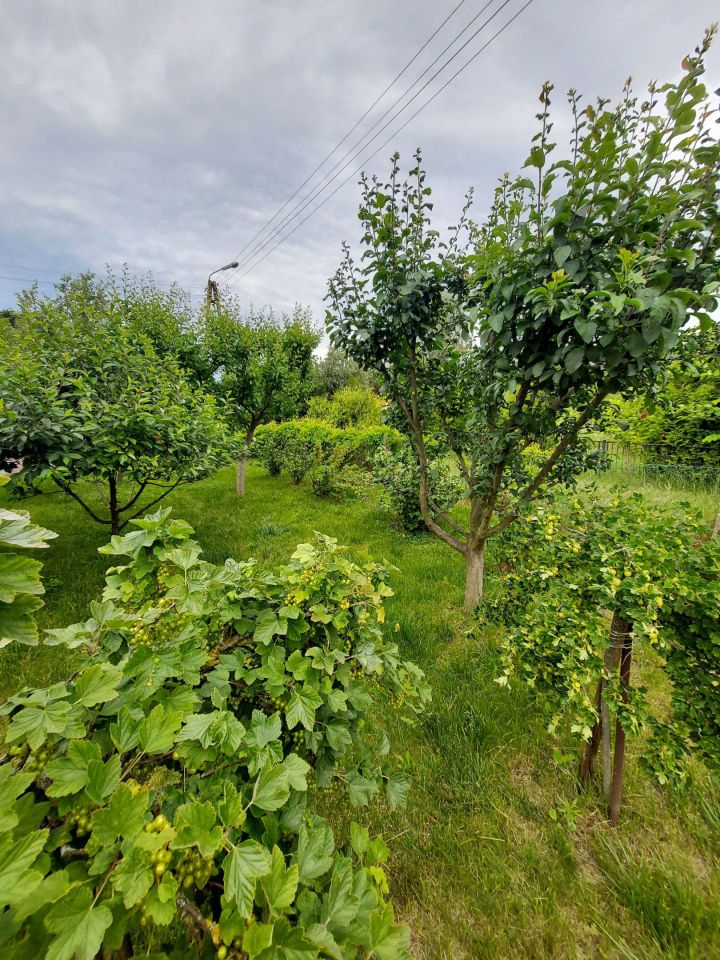 Działka rod Nowa Sól, ul. Ceglana. Zdjęcie 2