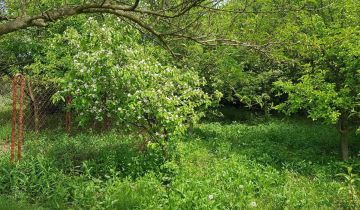 Działka rod Staszów Golejów