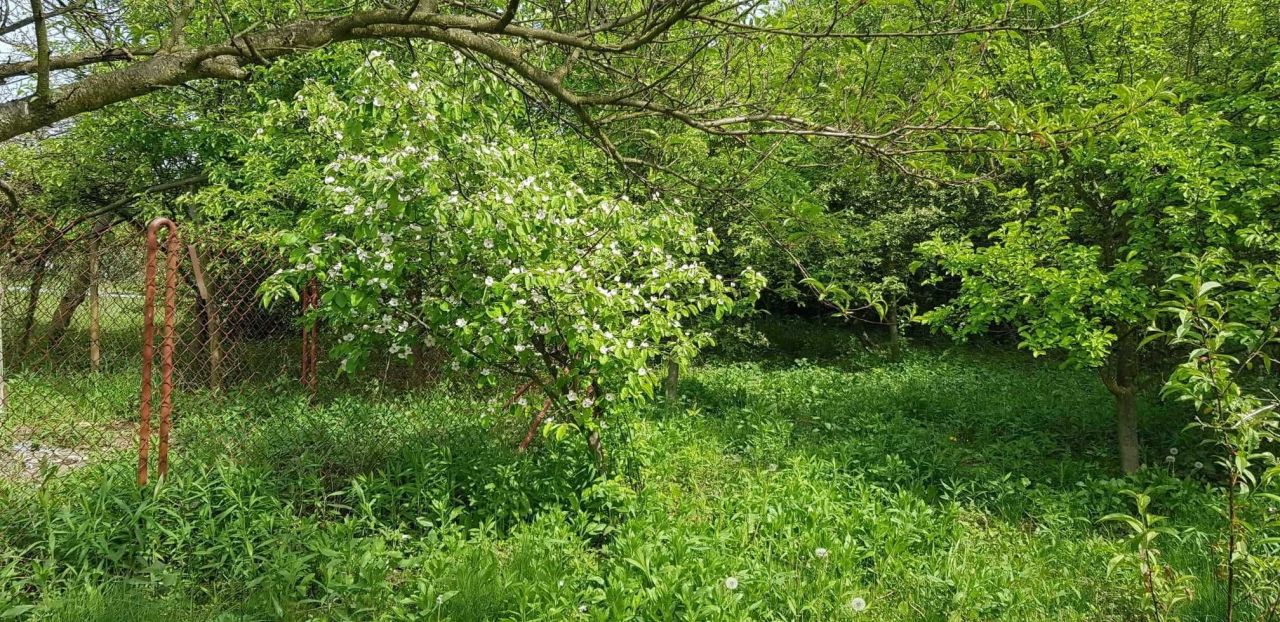 Działka rod Staszów Golejów. Zdjęcie 2