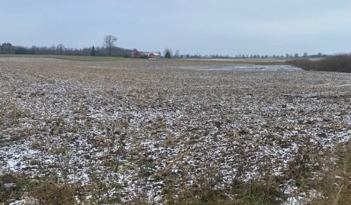 Działka rolna Guty