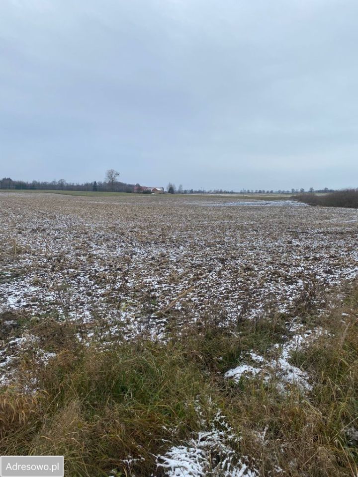 Działka rolno-budowlana Guty