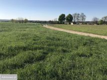 Działka budowlana Mąkoszyce. Zdjęcie 3