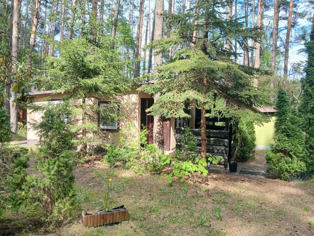dom letniskowy Sząbruk. Zdjęcie 1