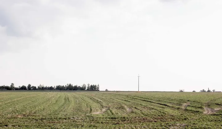 Działka budowlana Działosze