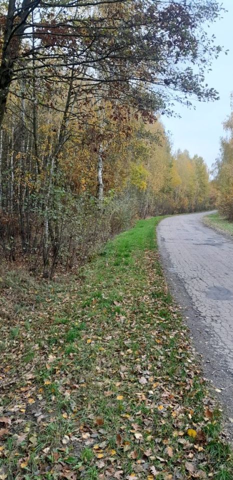 Działka leśna Wólka Nadrybska. Zdjęcie 3