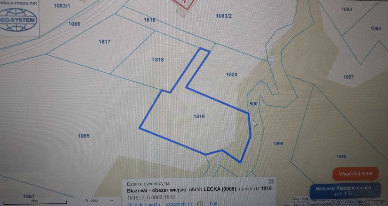 Działka rolno-budowlana Lecka. Zdjęcie 4