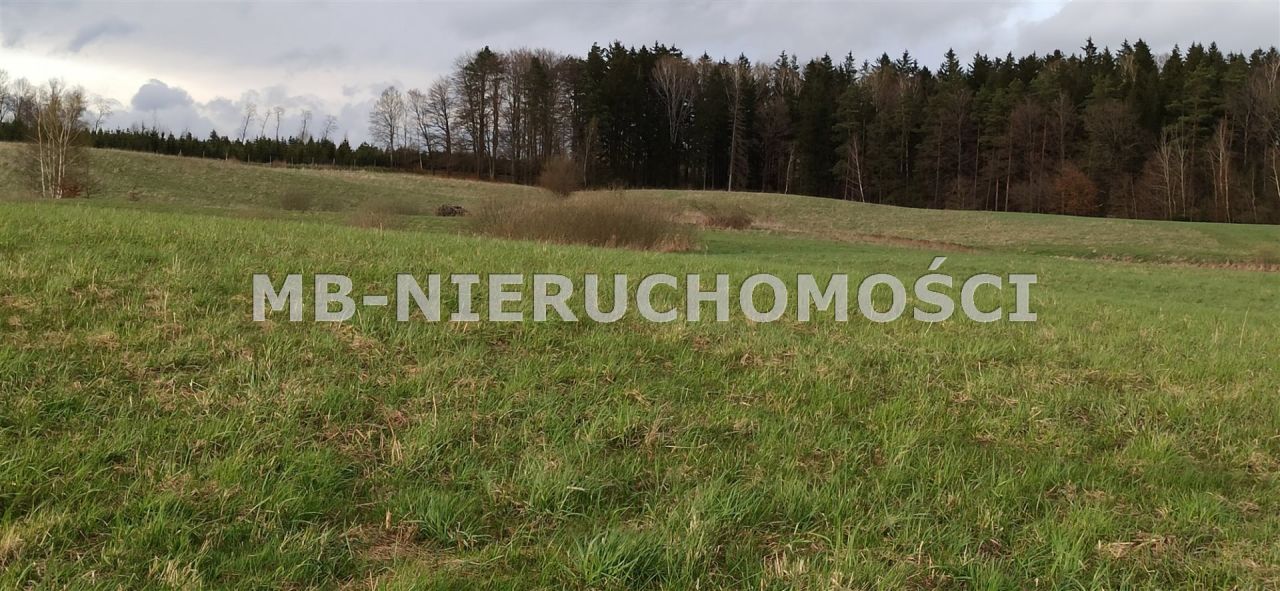 Działka siedliskowa Sętal. Zdjęcie 10