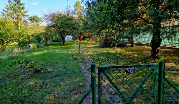 Działka rod Wrocław Krzyki, ul. Borowska