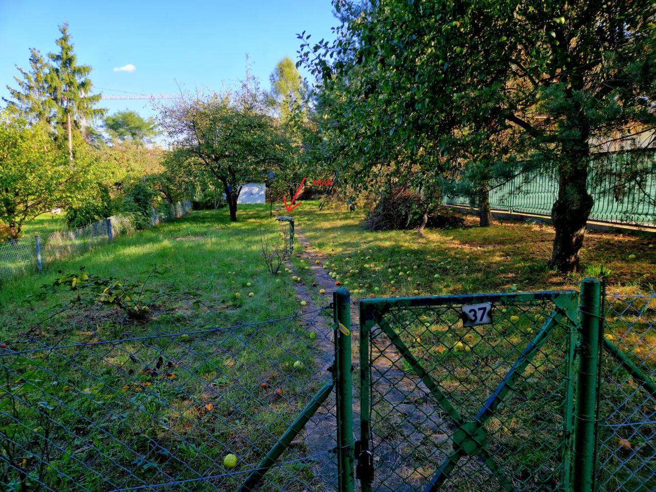 Działka rod Wrocław Krzyki, ul. Borowska. Zdjęcie 1