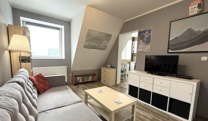 Mieszkanie 1-pokojowe Kościelisko, ul. Salamandra