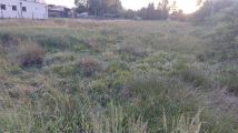 Działka budowlana Wola Kopcowa, ul. Wspólna. Zdjęcie 3