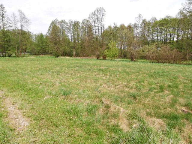 Działka rolna Jastrzębsko Stare. Zdjęcie 1