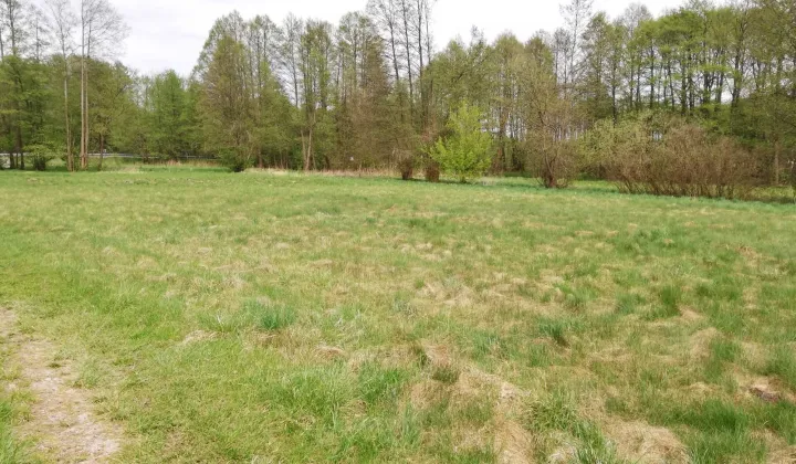 Działka rolna Jastrzębsko Stare