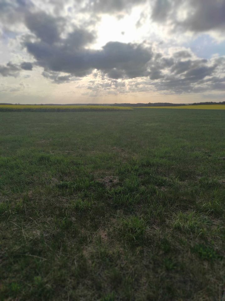 Działka budowlana Franciszkowo. Zdjęcie 5