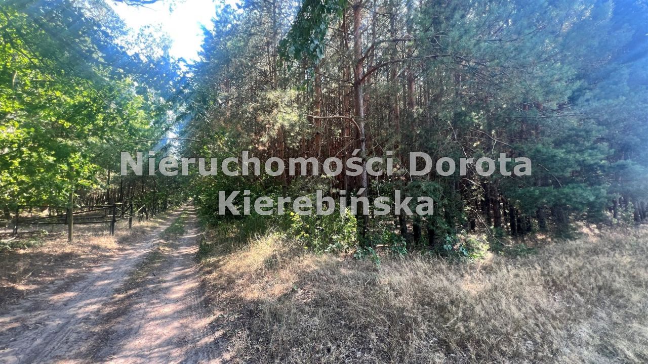 Działka rolna Wale. Zdjęcie 5