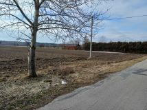 Działka budowlana Dąbrowa Tarnawacka. Zdjęcie 4