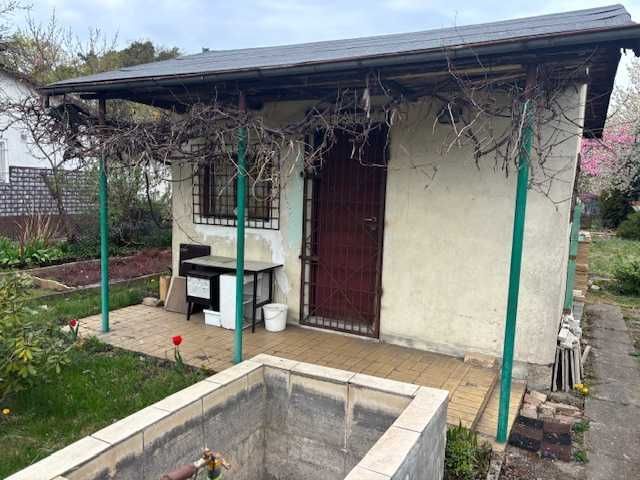 Działka rod Zielona Góra Stary Kisielin. Zdjęcie 3