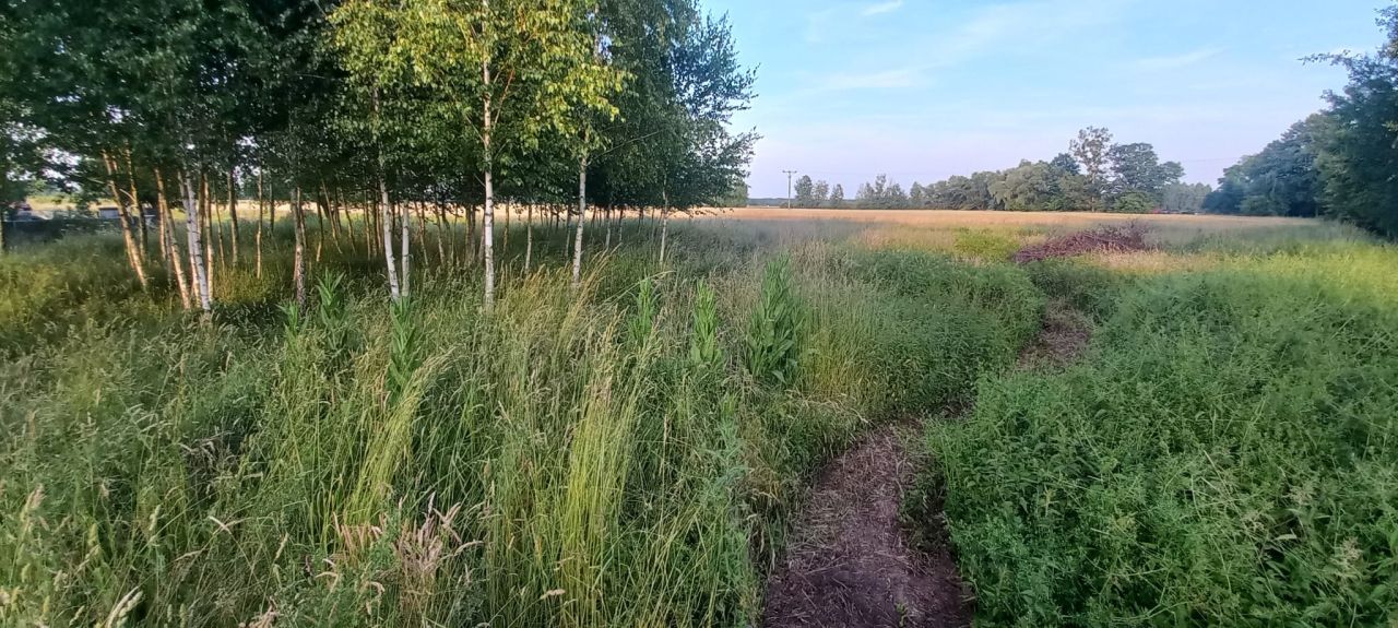 Działka budowlana Czatkowice, ul. Leśna. Zdjęcie 1