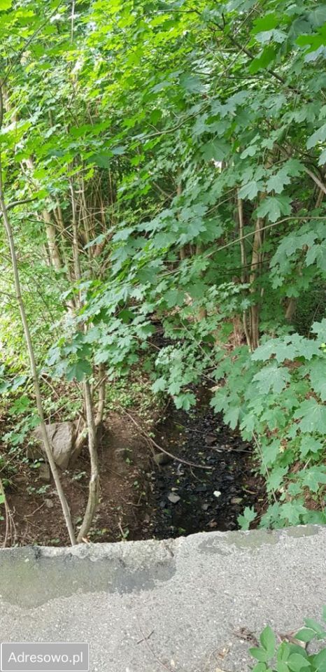 Działka budowlana Świny. Zdjęcie 10