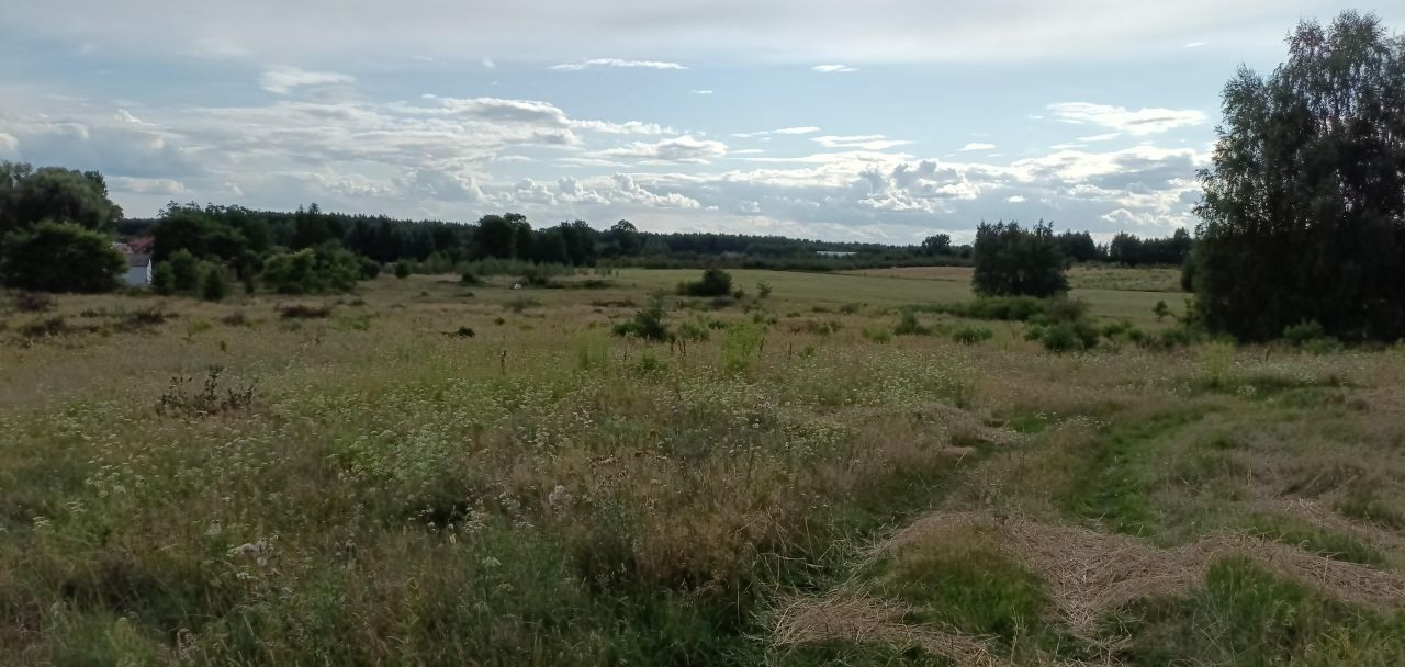Działka rolna Ługowice
