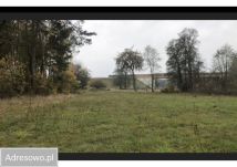 Działka budowlana Chrustne. Zdjęcie 1