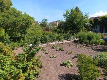 Działka rod Suwałki, ul. Sportowa