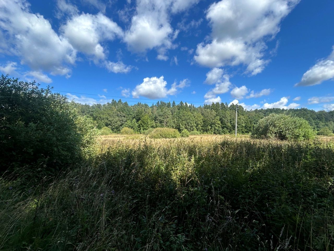 Działka budowlana Leśniewo. Zdjęcie 4