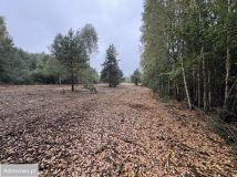 Działka rolno-budowlana Rogowice. Zdjęcie 3