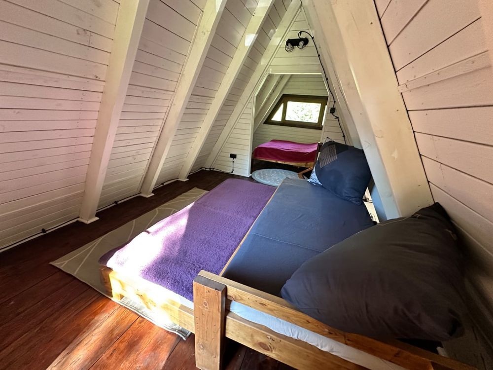 Działka leśna Świerkocin. Zdjęcie 4