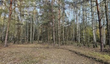 Działka rolna Bieniewiec, ul. Dziewicza