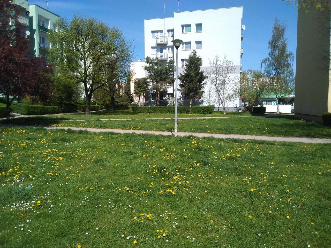 Mieszkanie 3-pokojowe Świdnica. Zdjęcie 22