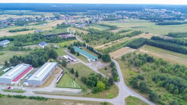 Hala/magazyn Nowa Sarzyna. Zdjęcie 13