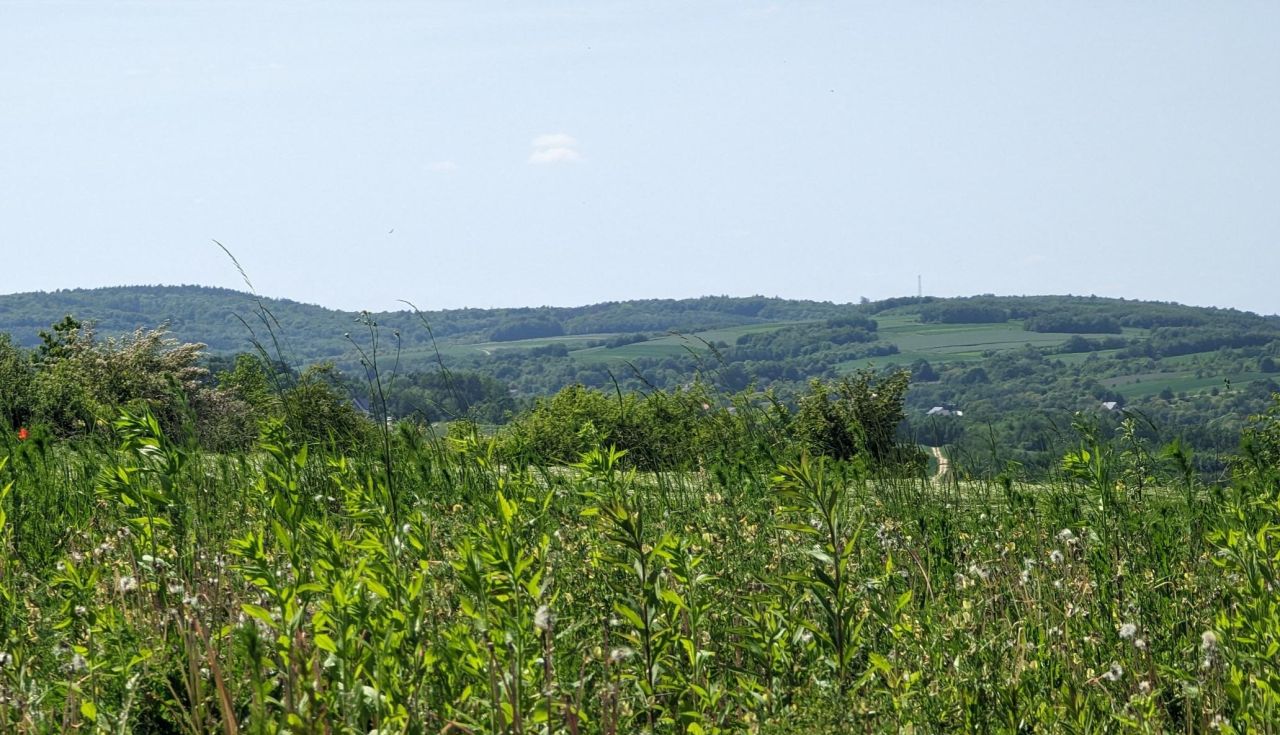 Działka budowlana Pruchnik Pruchnik Górny, ul. Bieszczadzka. Zdjęcie 5