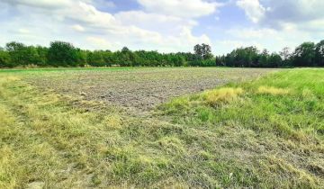 Działka rolna Nowa Wieś