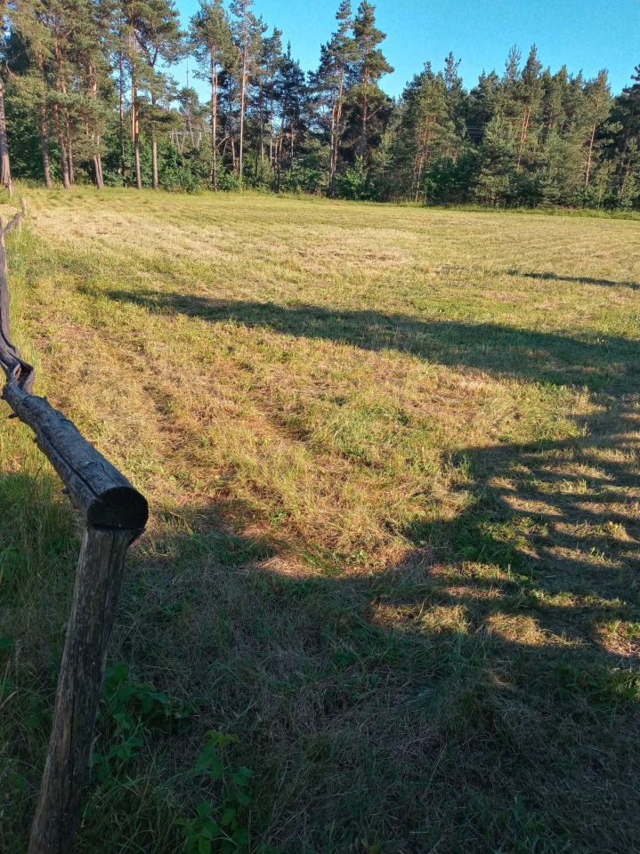 Działka budowlana Morawica, ul. Szkolna. Zdjęcie 2