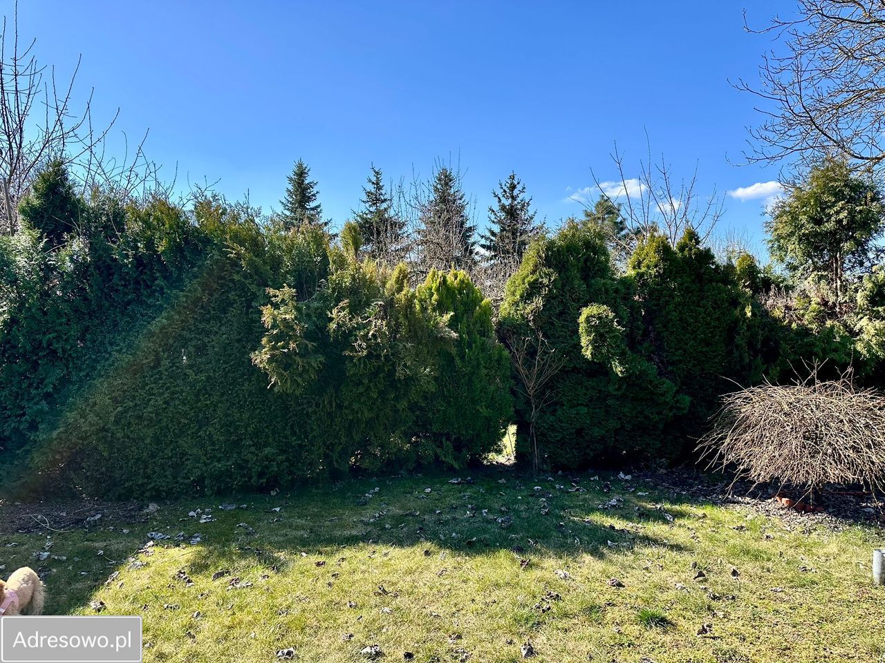 Działka budowlana Bolechówko, ul. Kręta. Zdjęcie 9
