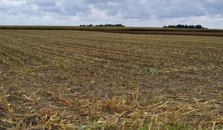 Działka rolna Czacz