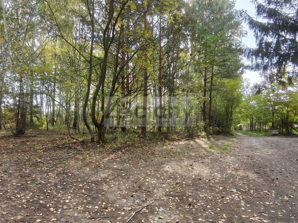Działka budowlana Kierszek. Zdjęcie 9