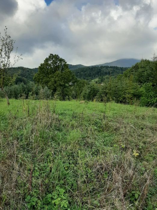 Działka rolna Lipowa. Zdjęcie 3