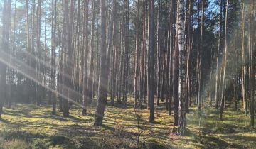 Działka leśna Huta Przerębska