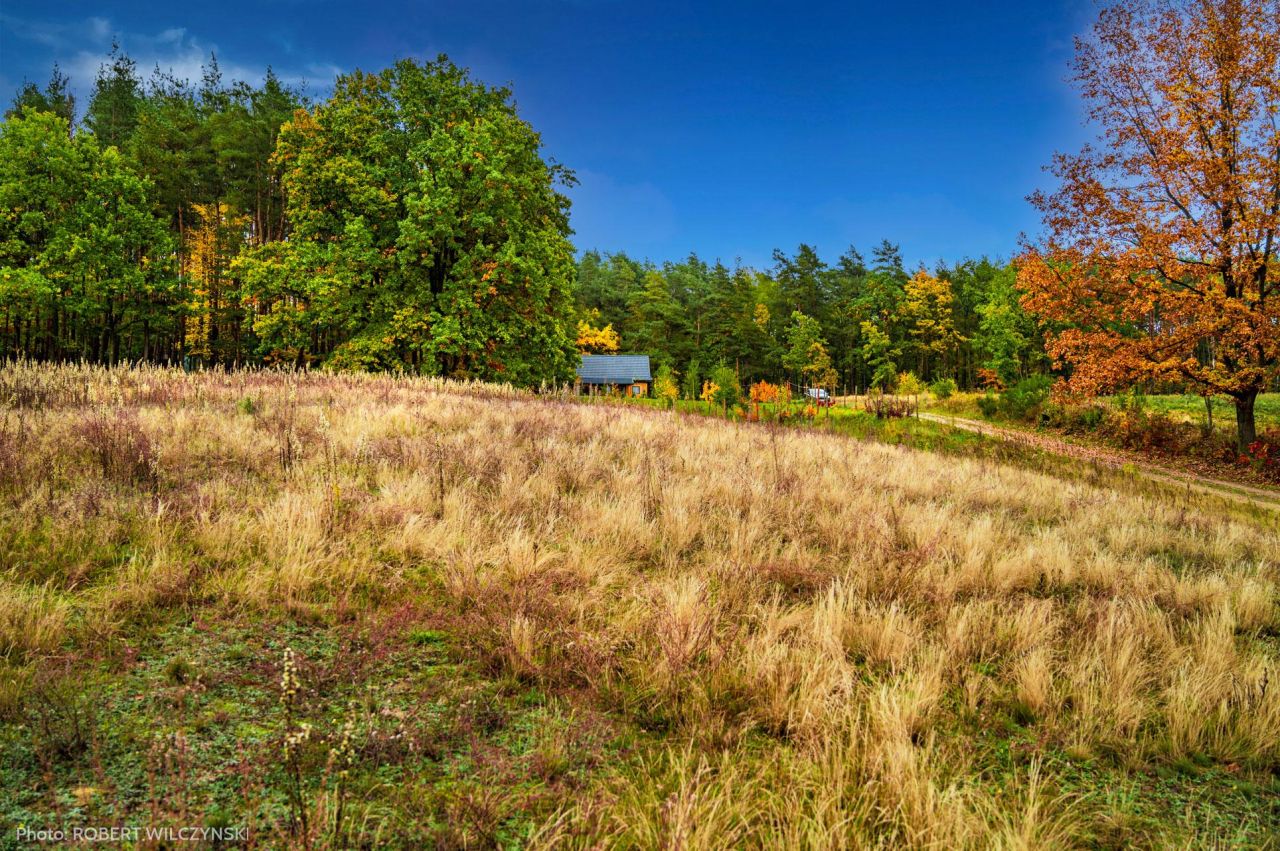 Działka budowlana Jeziórka. Zdjęcie 9