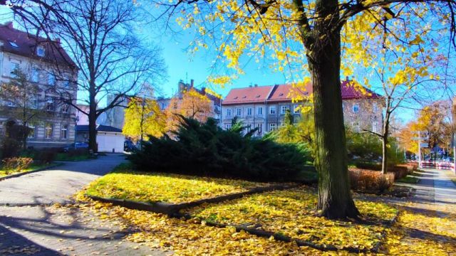 Lokal Chojnów, ul. Jarosława Dąbrowskiego. Zdjęcie 3