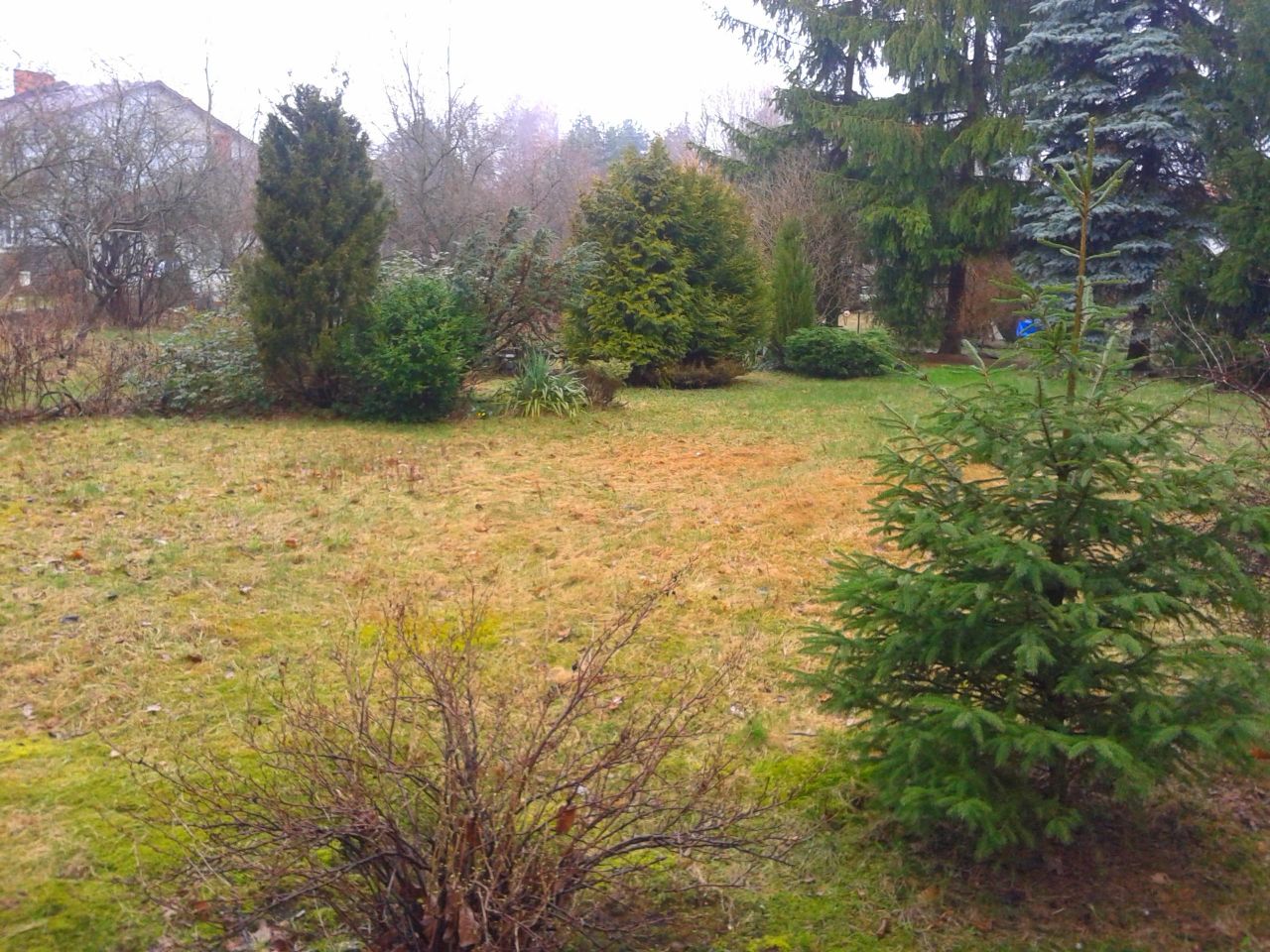 Działka budowlana Komorów, ul. Mikołaja Reja